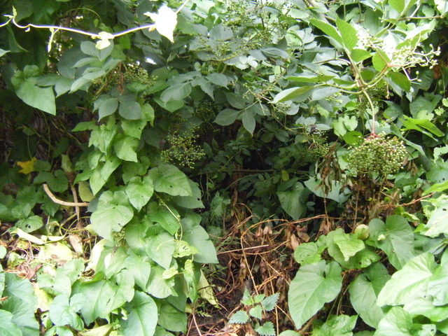 dscf2122.jpg